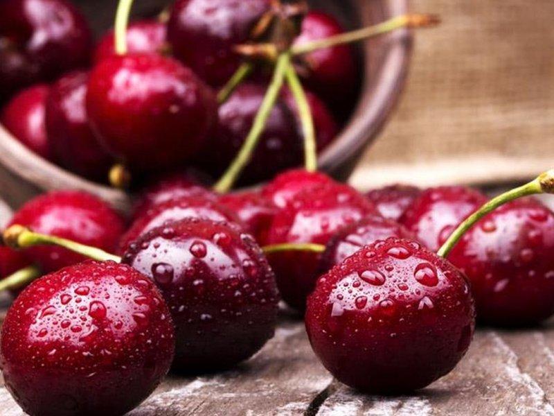 Вишня купить саженцы из питомника в Ачинске